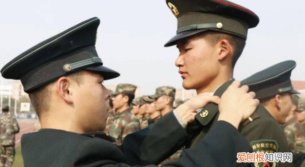 士官学校报考条件，报考士官需要什么条件