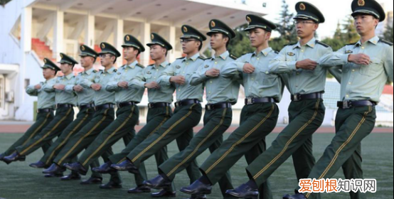 士官学校报考条件,报考士官需要什么条件