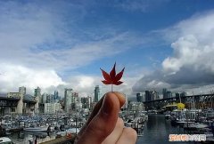 加拿大最适应居住的城市排名 2022年加拿大最发达城市