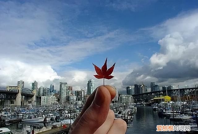 加拿大最适应居住的城市排名 2022年加拿大最发达城市