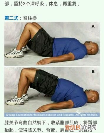 四肢肌群激活的方法，核心区肌群激活的方法海鸥式