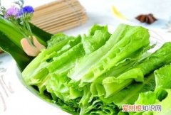 油麦菜怎么吃，油麦菜吃着苦是怎么回事