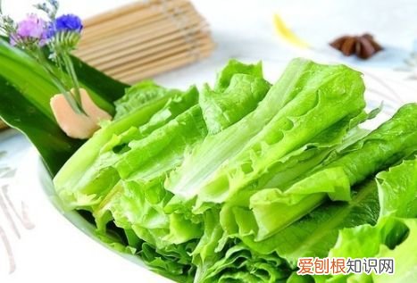 油麦菜怎么吃,油麦菜吃着苦是怎么回事