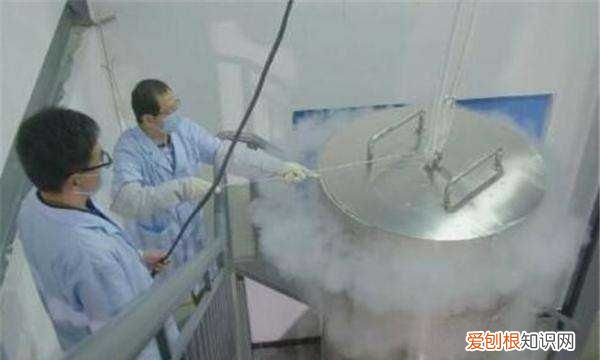 人体冷冻术有复活的，第一个冷冻人复活了吗