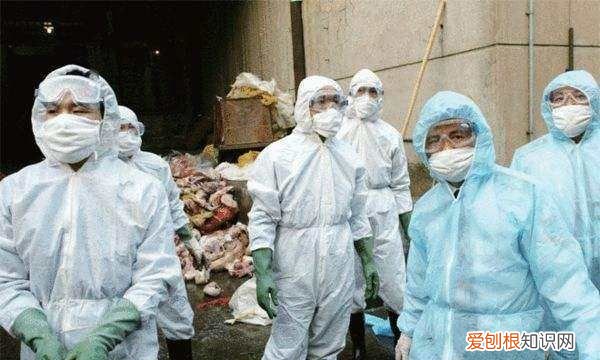 人体冷冻术有复活的，第一个冷冻人复活了吗