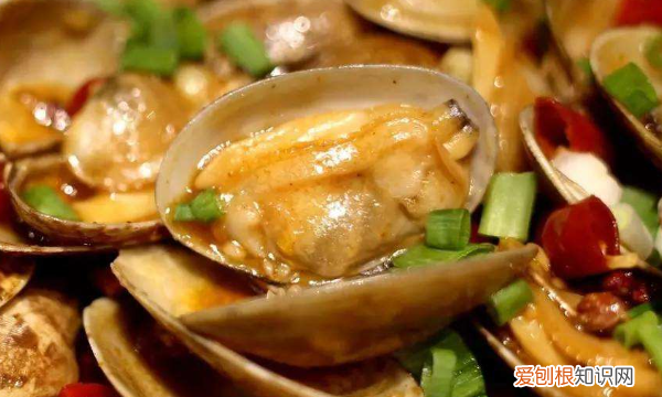 炒花甲需要先焯水吗,炒熟的花蛤过夜了还能吃