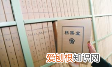 档案编号怎么编