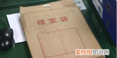 档案编号怎么编