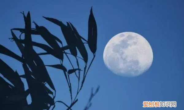 月的诗有哪些，李白关于月亮的诗句