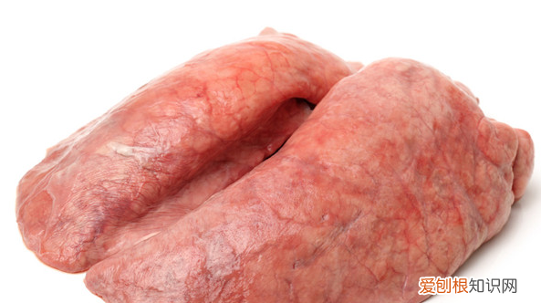 猪身上那几个部位少吃，猪身上哪些部位要少吃或者不吃