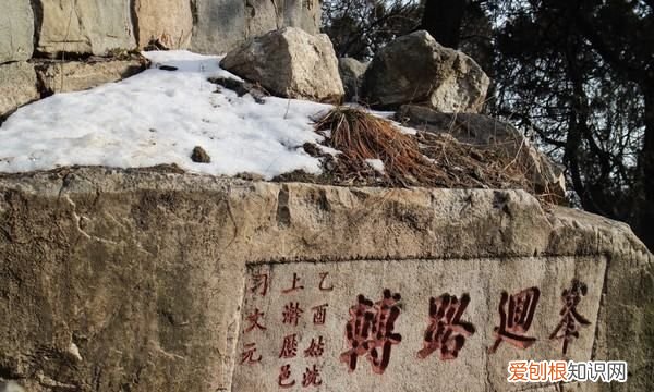 西狭颂是哪个朝代，隶书起源于什么朝代