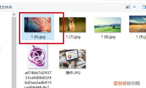 cs6滤镜怎么用