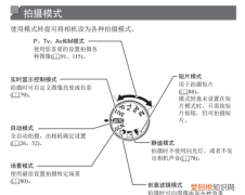 tv是什么模式，佳能相机xs500上面的MAVTVPLIVE分别是代表什么功能