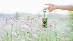 如何单反何拍出小清新照片，如何拍出唯美的小清新照片