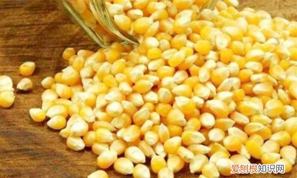 都用什么饵料钓鱼,钓鱼用什么鱼饵最好