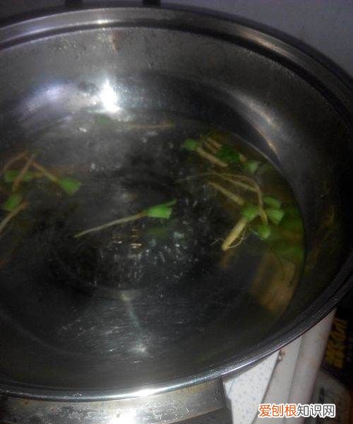 香菜根香葱根怎么淹，白菜根葱根香菜根姜煮水多长时间