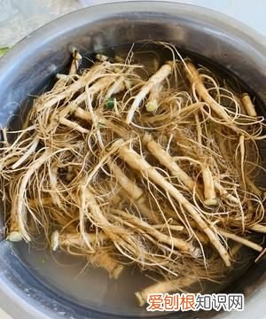 香菜根香葱根怎么淹，白菜根葱根香菜根姜煮水多长时间