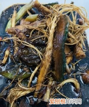 香菜根香葱根怎么淹，白菜根葱根香菜根姜煮水多长时间