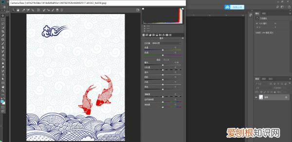 camera raw 怎么调色