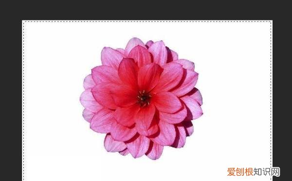 ps怎么添加描边,ps如何给图像边缘描边渐变色