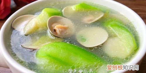 青蛾汤的做法,猪肉蛾子汤的做法