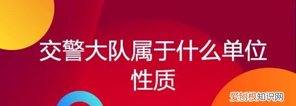 公安交警大队是否是行政机关,公安局交警大队属于什么单位性质