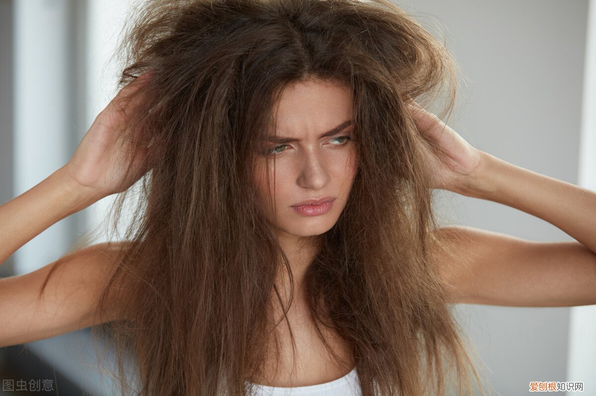 植物染发剂什么牌子最安全