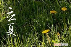 夏天来了的优美句子简短 夏天来了的优美句子简短