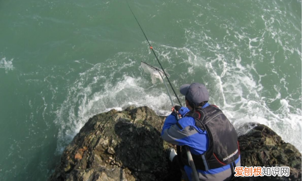 矶钓鱼钩怎么使用,矶钓风浪大怎么钓鱼