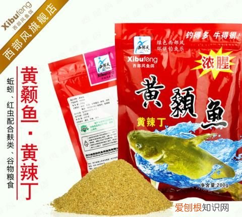 月用什么饵料钓鱼，在水库钓鲤鱼用什么鱼饵最好