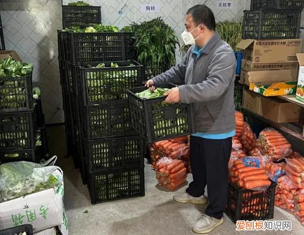 300名员工和动物一起隔离60天，上海这样的做法你怎么看