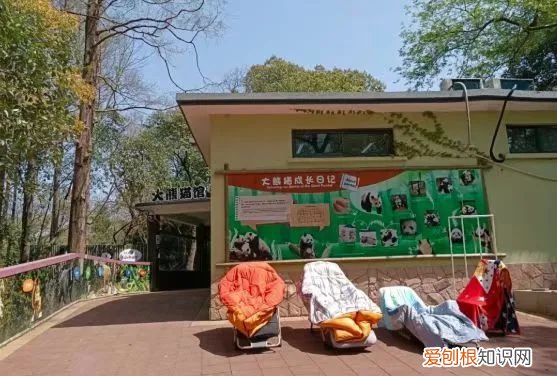 300名员工和动物一起隔离60天，上海这样的做法你怎么看