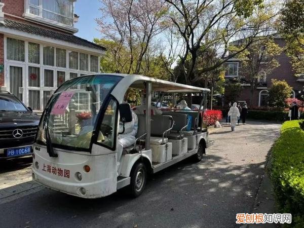 300名员工和动物一起隔离60天，上海这样的做法你怎么看