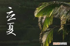夏天到了发朋友圈的精美句子 夏天到了发朋友圈文案
