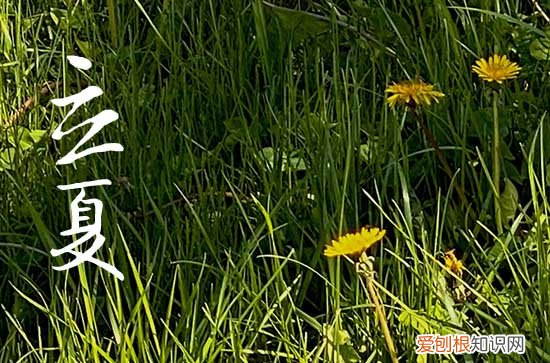 天气热发朋友圈的搞笑说说 天气热发朋友圈怎么说