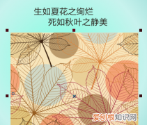 cdr怎么截，coreldraw怎么截取不规则图形