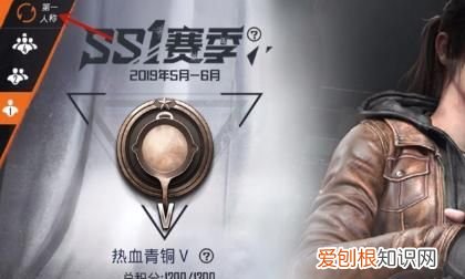 和平精英违规记录vx在哪看,和平精英怎么查看处罚记录