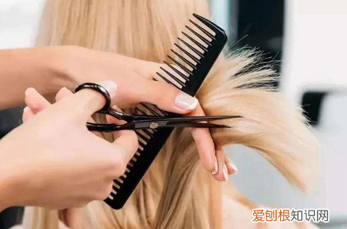 tony老师什么梗，理发师是什么意思梗