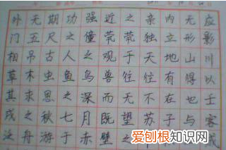 行楷是什么意思，行书与行楷的区别