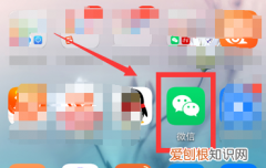 微信拍一拍后面文字怎么加，微信拍一拍怎么拍别人加文字搞笑