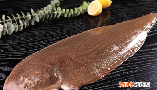 龙利鱼和巴沙鱼的区别，巴沙鱼和龙利鱼有什么区别