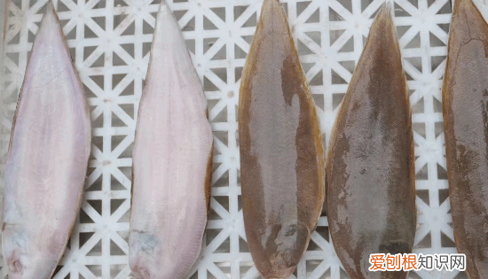 龙利鱼和巴沙鱼的区别，巴沙鱼和龙利鱼有什么区别