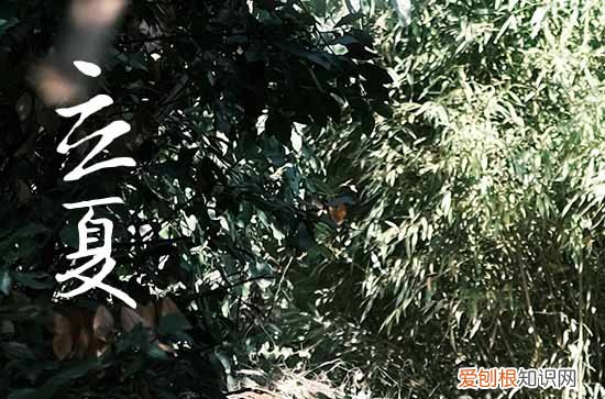 2023立夏时间几点几分几秒