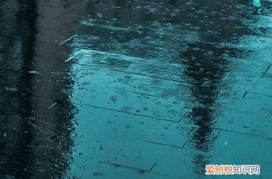 2023年谷雨是农历几月几号