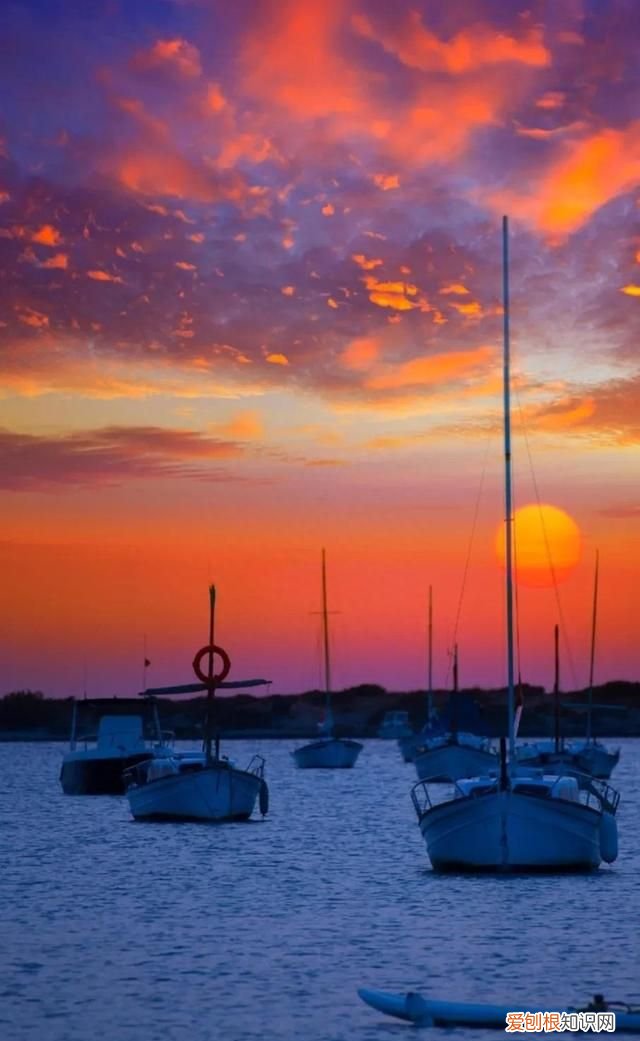 海杨词 赵秀富曲 二十大献礼歌曲:山海情