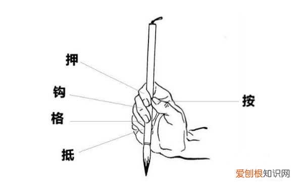 练书法时应该怎样拿毛笔，怎样握毛笔才是正确的视频