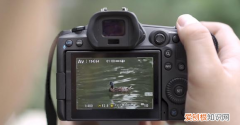 单反拍如何自动对焦，单反如何自动对焦点