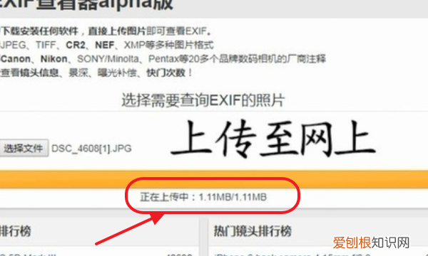 d90怎么看快门次数，尼康d90快门按不下去,取景器黑屏