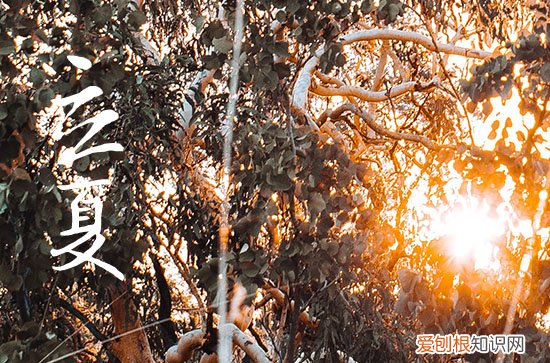 立夏洗头的寓意是什么 立夏象征着什么