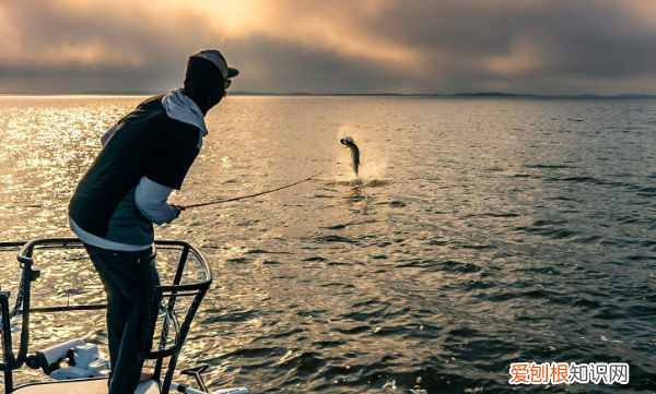 钓鱼长杆怎么使用,长竿短线一般怎么搭配线和钩